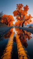 Vibrant autumn colors reflect on a wet road beside a serene lake at sunset photo