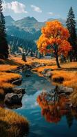 Autumn landscape with a vibrant orange tree reflected in a tranquil mountain stream in the afternoon sun photo
