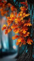 Vibrant autumn leaves contrasting with dark tree bark in a serene forest setting during golden hour photo