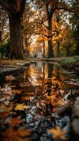 Autumn reflections in a tranquil park with golden leaves and a gentle stream photo