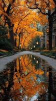 Colorful autumn trees reflect in still water along a tranquil path in a serene park during golden hour photo