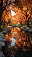 Autumn colors reflecting on a serene creek surrounded by vibrant trees and gentle sunlight photo