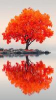 Vibrant orange tree reflecting on calm water during autumn at serene lakeside location photo