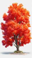 Vibrant autumn tree showcasing brilliant orange leaves in a serene landscape during early fall photo