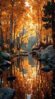 Golden reflections of autumn leaves along a serene stream in a tranquil forest setting photo