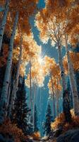 Autumn sunlight filters through golden leaves in a tranquil forest at midday photo