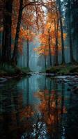 Autumn colors reflect in a tranquil forest stream during a misty morning in the woodland photo