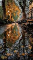 Rain-soaked park path with reflections of autumn trees and lamps in evening light photo