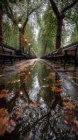 Calm park pathway after rain with reflections of trees and lamps visible in puddles on the ground photo