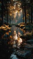 Serene forest landscape with sunlight filtering through trees by a peaceful stream in autumn photo