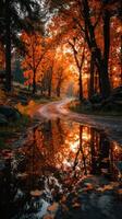 Autumn road with vibrant orange leaves reflecting in a puddle at sunset in a forest photo