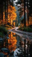 Colorful autumn landscape shows winding road with reflections in water near forested area during golden hour photo