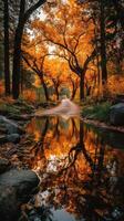 Beautiful autumn landscape reflecting orange trees along a winding path by a serene stream photo