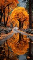 Vibrant autumn foliage reflecting in a serene puddle along a winding road in a tranquil forest setting photo