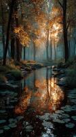 Sunrise illuminates a tranquil forest stream with vibrant autumn colors and reflections in still waters photo