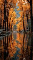 Colorful autumn reflections in a serene forest stream during late afternoon light photo