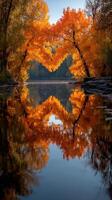 Vibrant autumn trees reflect on tranquil river in serene landscape during golden hour photo