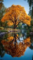 Vibrant autumn colors reflect in serene lake surrounded by lush greenery in a peaceful park setting photo