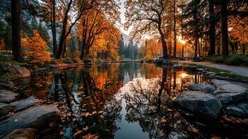Beautiful autumn sunset reflecting on serene pond surrounded by trees in a peaceful forest photo