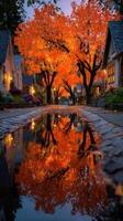 Vibrant fall colors reflect in puddles along a charming residential street at dusk photo