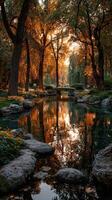 Beautiful autumn landscape with colorful trees and calm water reflection in a serene park during sunset photo