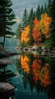 Autumn colors reflected on still water in a serene forest landscape photo
