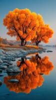 Vibrant autumn trees reflect in calm river at sunset, creating a stunning natural landscape in serene setting photo