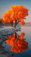 Vibrant autumn trees with stunning reflections along a serene riverbank at sunset photo