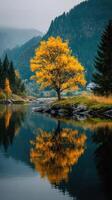 Majestic autumn tree reflecting in calm river near mountains in serene landscape setting photo