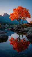 Vibrant autumn tree reflects in calm lake during sunset near mountain landscape photo