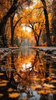 Autumn foliage reflects beautifully in a calm creek surrounded by trees in a peaceful park setting photo