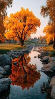 Vibrant autumn colors reflected in a peaceful stream surrounded by trees at sunset photo