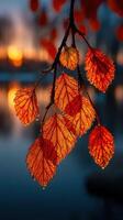 Bright orange leaves glisten with dew against a serene lake at sunrise in autumn photo