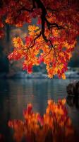 Autumn leaves reflect in calm water at lakeside during a serene fall afternoon photo