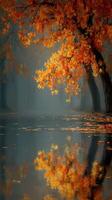 Vibrant autumn foliage reflects on tranquil river surrounded by misty forest in late afternoon light photo