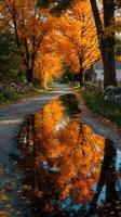 Beautiful autumn pathway lined with vibrant orange trees reflecting in puddles at sunset photo