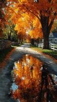 Bright autumn foliage reflects in puddles along a tranquil country road lined with trees in late afternoon light photo