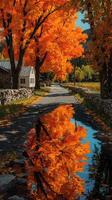 Vibrant autumn landscape featuring orange trees and a serene reflection along a countryside road photo