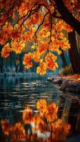 Vibrant fall foliage reflects on tranquil water in a serene park during autumn afternoons photo