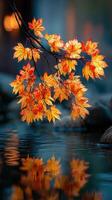 Vibrant autumn leaves reflecting in tranquil water during early evening photo