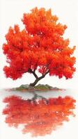 Vibrant autumn tree with striking orange leaves beside still water reflecting its beauty in a serene landscape photo