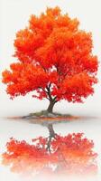Stunning autumn tree with vibrant orange leaves reflecting in calm water under soft light photo