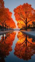 Vibrant autumn trees reflect in calm water during sunset beside a peaceful walkway photo