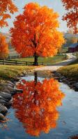 Vibrant orange tree reflected in calm waters during a serene autumn afternoon in a peaceful countryside setting photo