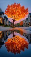 Vibrant autumn tree reflects in puddle beside charming homes during golden hour photo