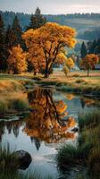 Vibrant autumn landscape with a golden tree reflecting in a tranquil stream at sunset photo