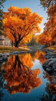 Vibrant autumn trees reflect on the calm river in a picturesque park during sunset photo