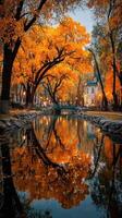 Vibrant autumn landscape with golden trees reflecting on a calm river at dusk in a serene park setting photo