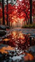 Autumn leaves reflect in a tranquil puddle along a winding forest path at sunrise photo