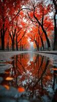 Vibrant autumn colors reflected in a tranquil puddle on a peaceful pathway lined with trees photo